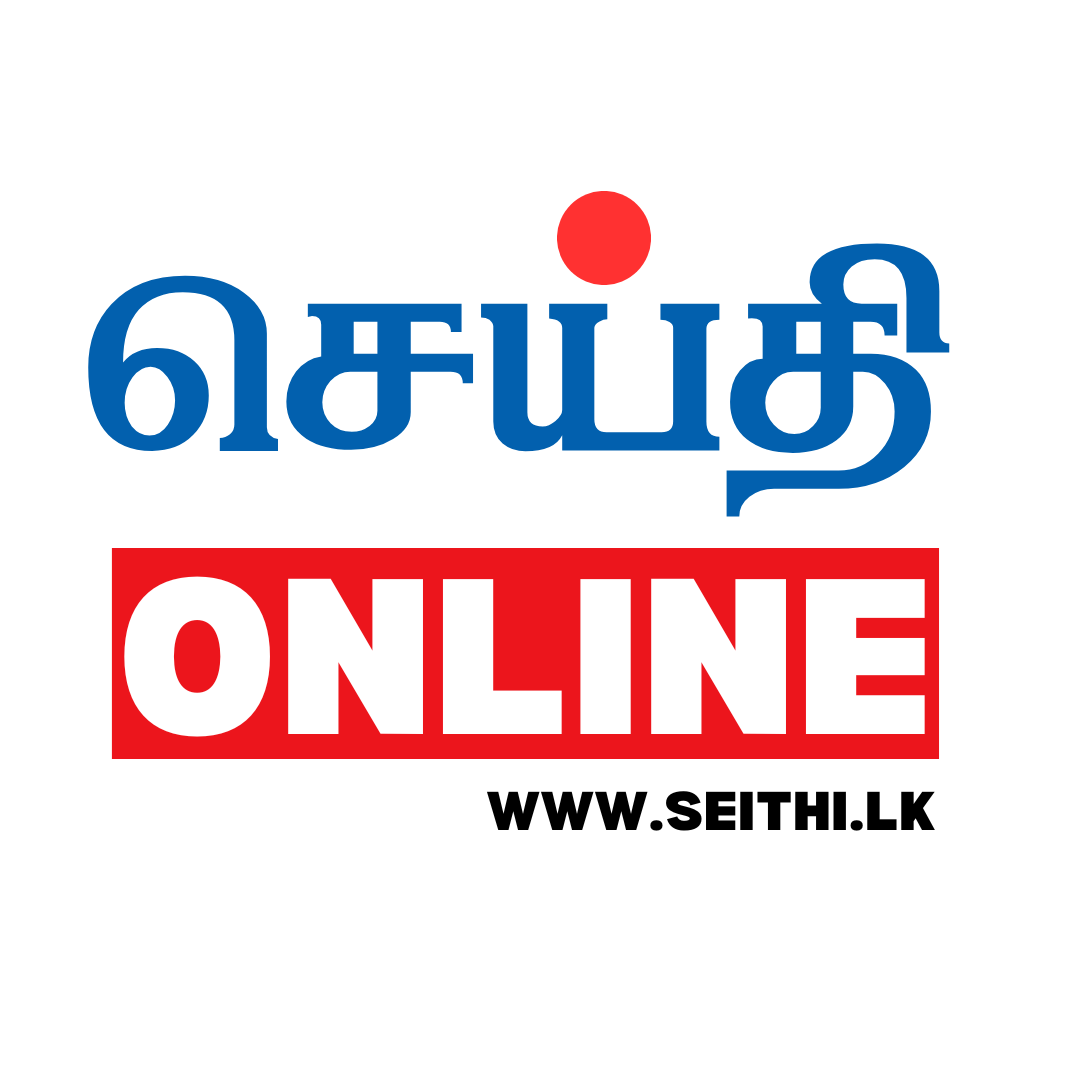 Seithi Logo